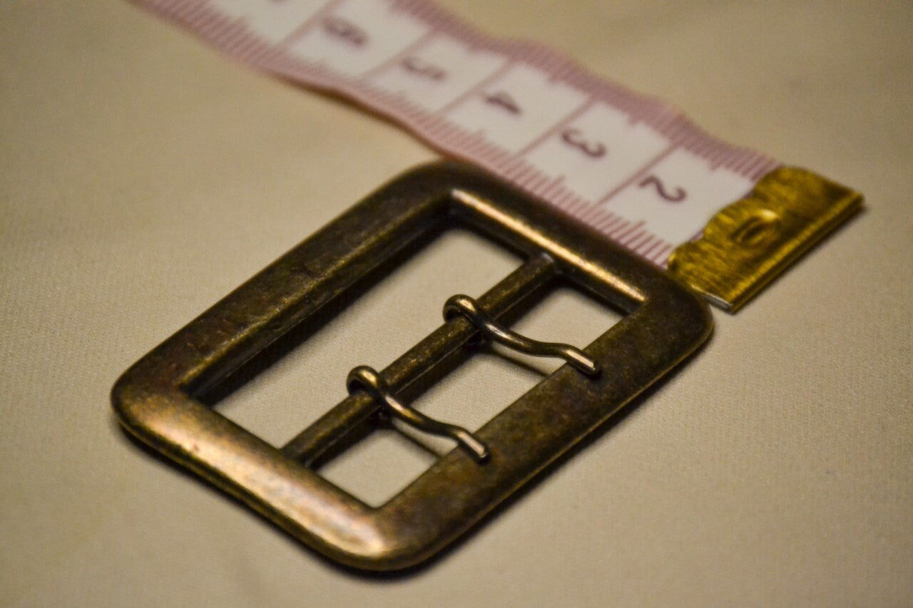 Metal Buckle with 2 pins, Metal Buckle, Bag Buckle, Belt Buckle, Prong Buckle