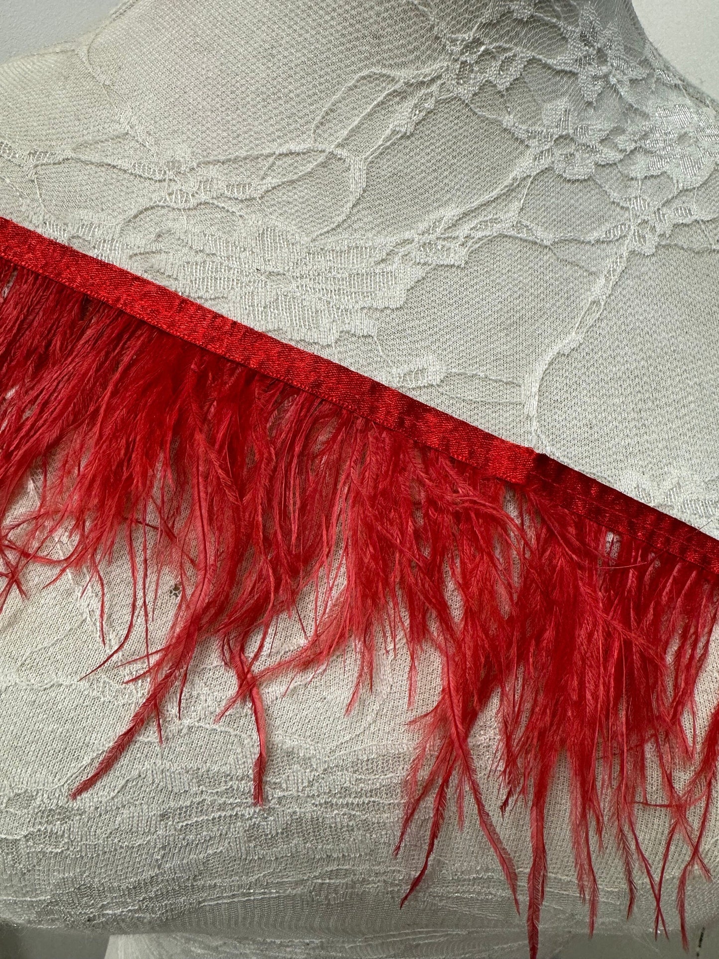 Black Feather Trim, Feather Trimming Fringe with Satin Ribbon Tape, Costumes Decoration, Dancewear, Ostrich feather, feather trim, white