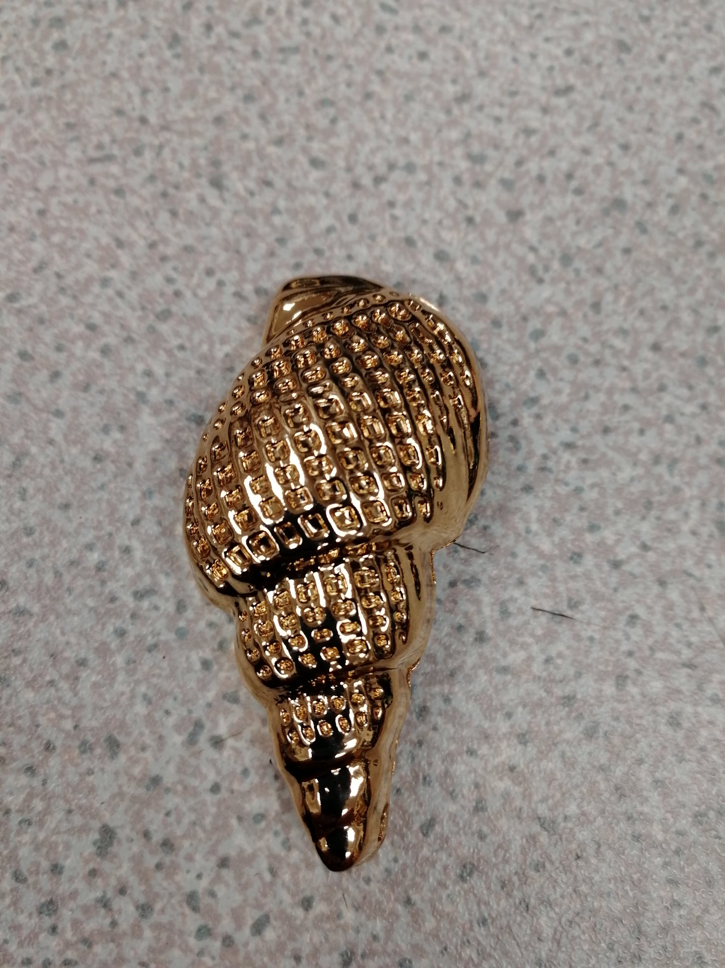 Shell Buckle