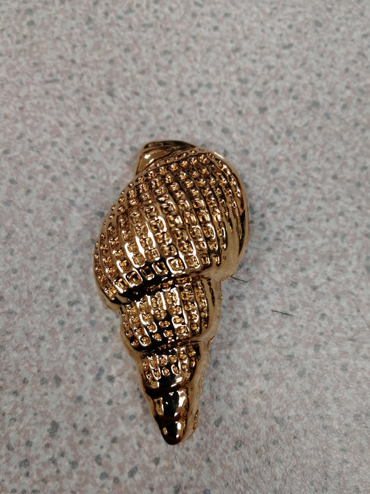 Shell Buckle