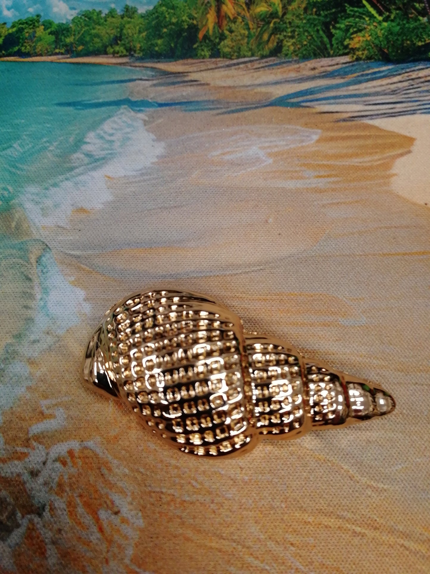 Shell Buckle